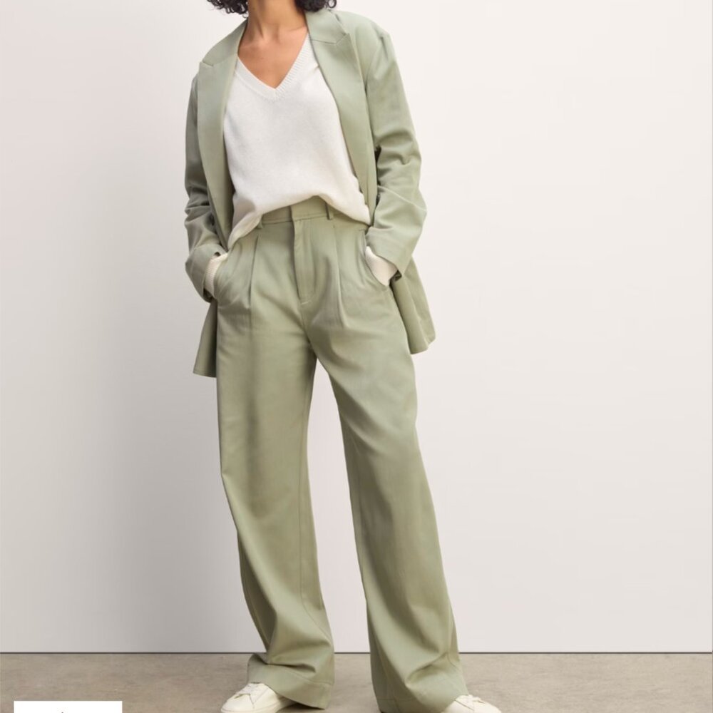 Everlane draper pleated pant in seagrass